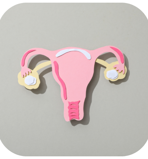 Assisted reproduction